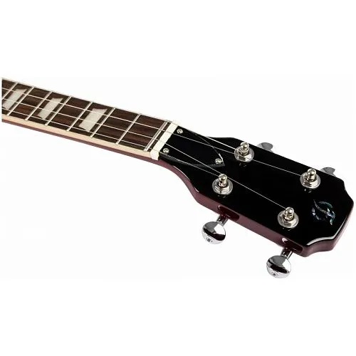 Flight Pioneer Tenor CR Электроукулеле, SG, тенор.