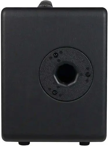 Joyo AC-20S Комбоусилитель для акустической гитары.