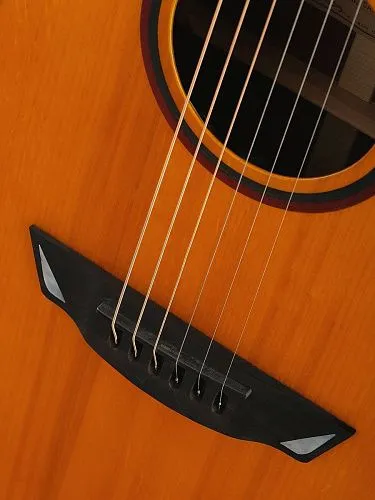 Cort Luxe-II-Wcase-Nat Frank Gambale Series Гитара электроакустическая.