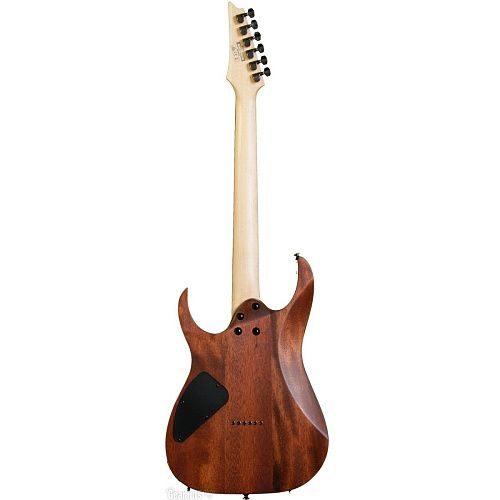Ibanez RG421-MOL Электрогитара.