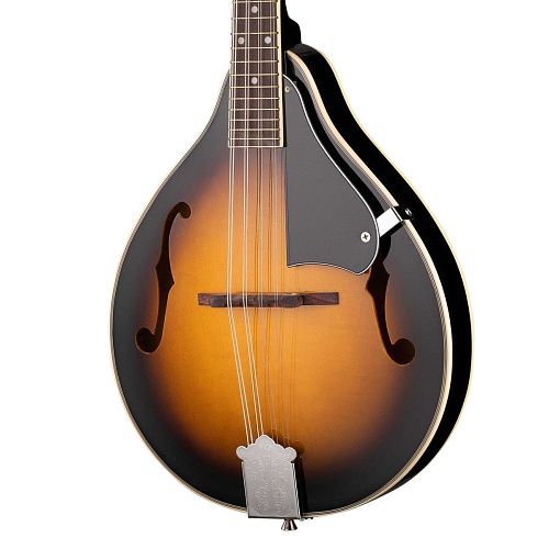 Caraya MA-001-BS Мандолина.