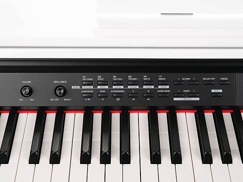 Medeli DP330-PVC-WH Цифровое пианино.