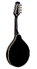 Stagg M50E BLK Электроакустическая мандолина.-1